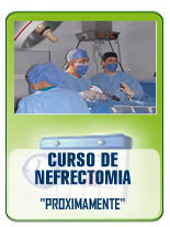 Cursos